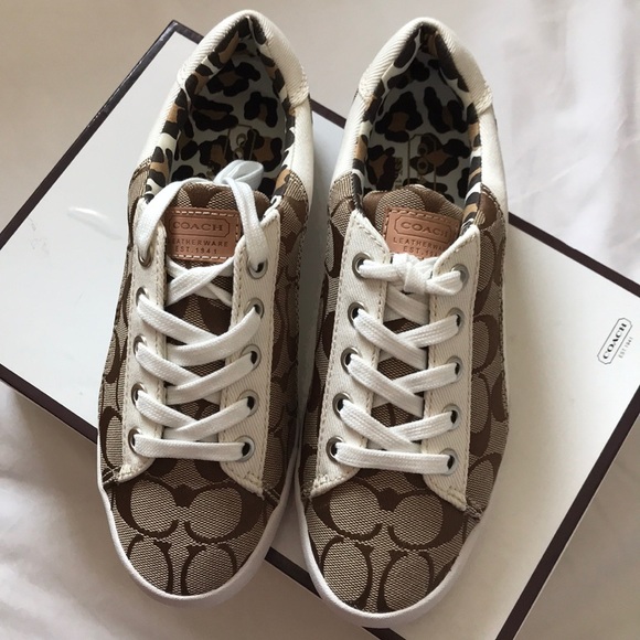 Coach sneaker💫 - Picture 1 of 8